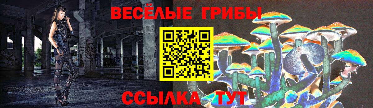 Галлюциногенные грибы ЛСД Ефремов