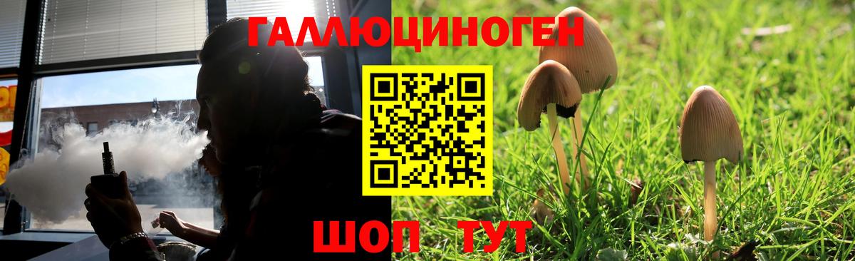 Псилоцибиновые грибы прущие грибы  Псилоцибиновые грибы MAGIC MUSHROOMS  Вход с VPN  Ефремов 